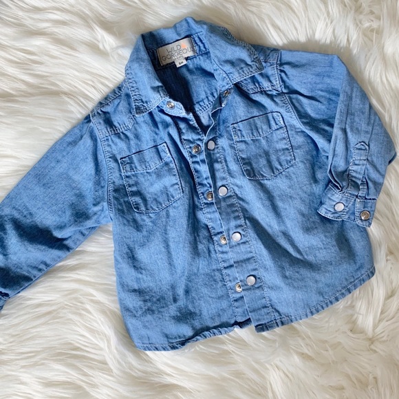 Wild and Gorgeous Toddler Chambray Long Sleeve - Picture 1 of 3